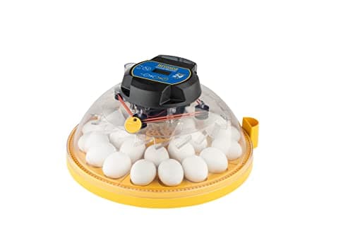 Brinsea Maxi 24 EX, 24 Eggs from Brinsea