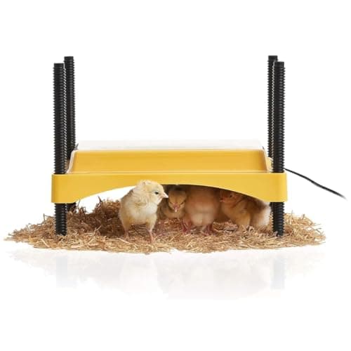 Brinsea EcoGlow Safety 600 Brooder, up to 20 chicks from Brinsea