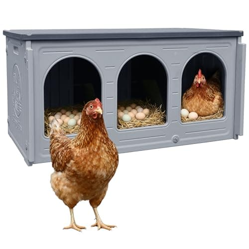 Rockever Plastic Nesting Boxes for Chickens from Rockever