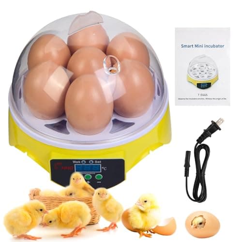 7-Egg Mini Incubator with 360-degree View from Generic