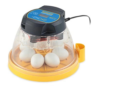 Brinsea Mini II Advance, 7 Eggs from Brinsea