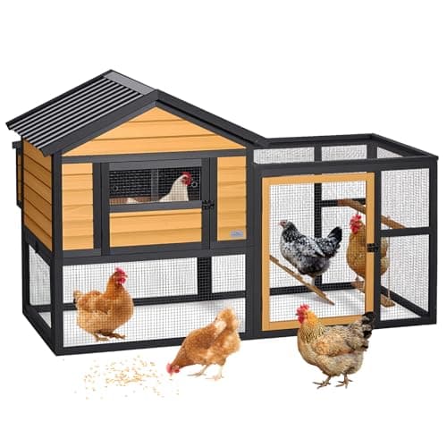 Petsfit Outdoor Chicken Coop with Run (4-6 hens) from Petsfit