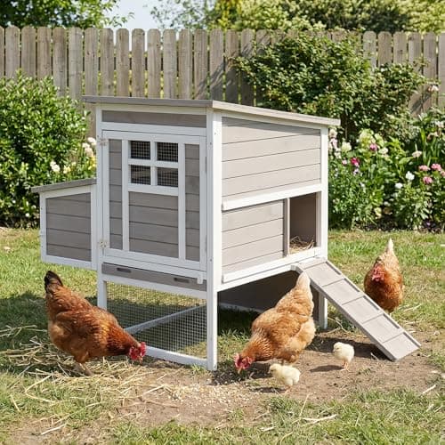 Ketive Elevated 2-Tier Hen House from Ketive