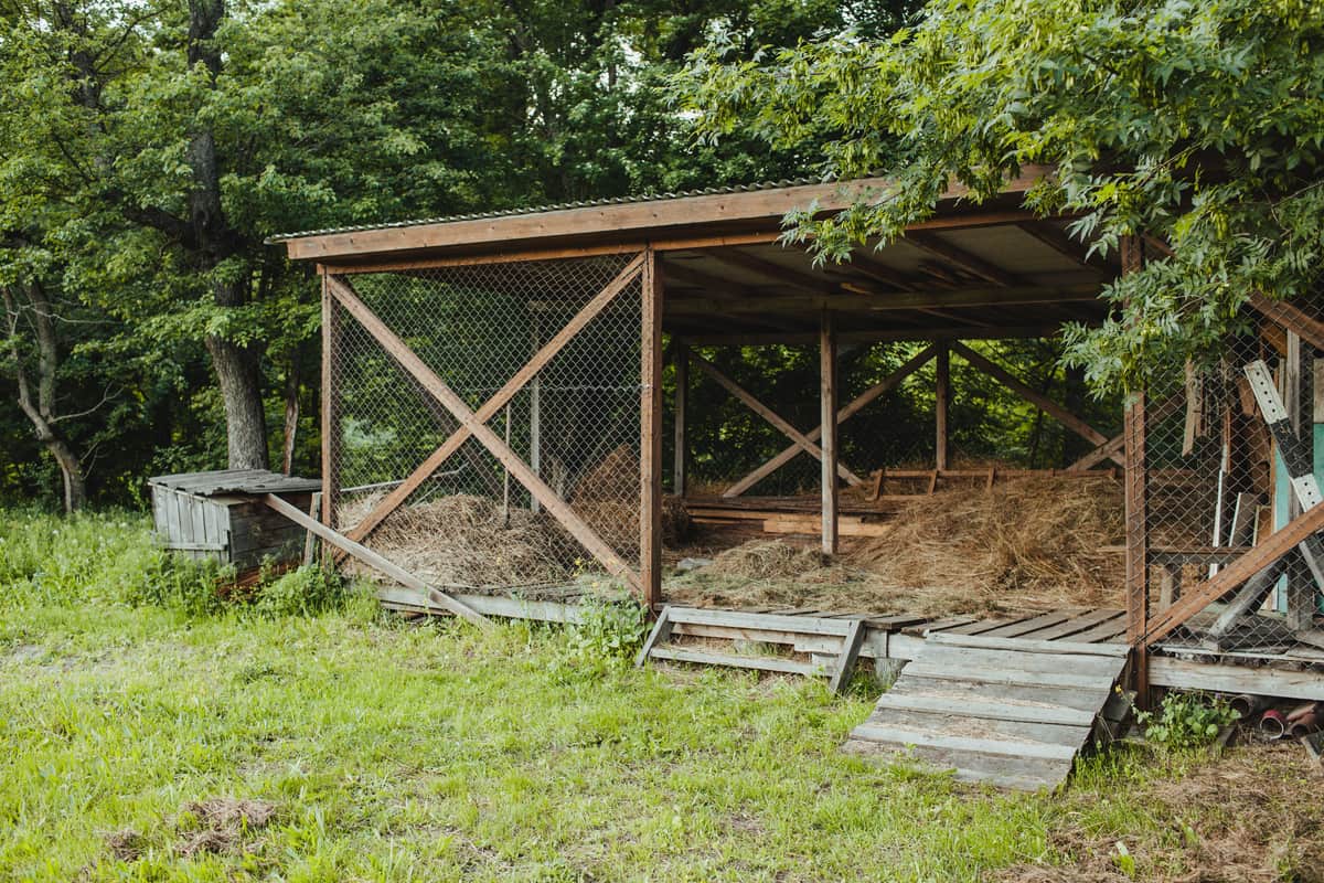 An empty wooden chicken coop with an open door, photographed in daylight