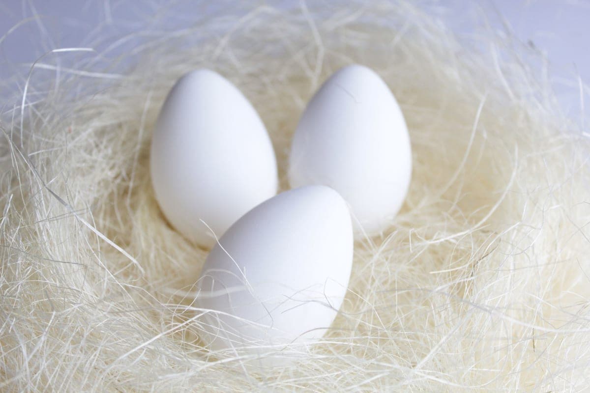 Pale eggs resting in a straw-lined nest