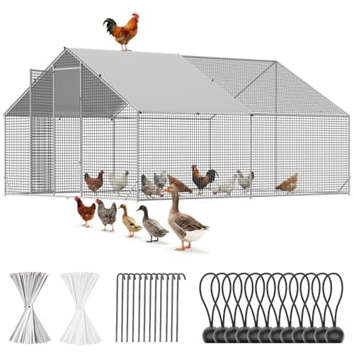 CAMMOO Walk-in Chicken Run, 13.1 x 9.8 x 6.6ft from CAMMOO