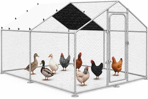 VAGGER 10 x 10 x 6.5ft Metal Chicken Run with Cover from VAGGER