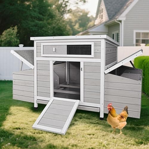 Extra Large Wooden Walk-in Hen House (8-12 hens) from Generic